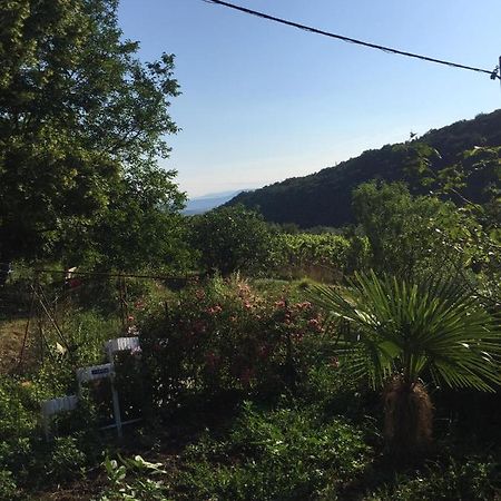 Salara Farmhouse Koper városi község Kültér fotó