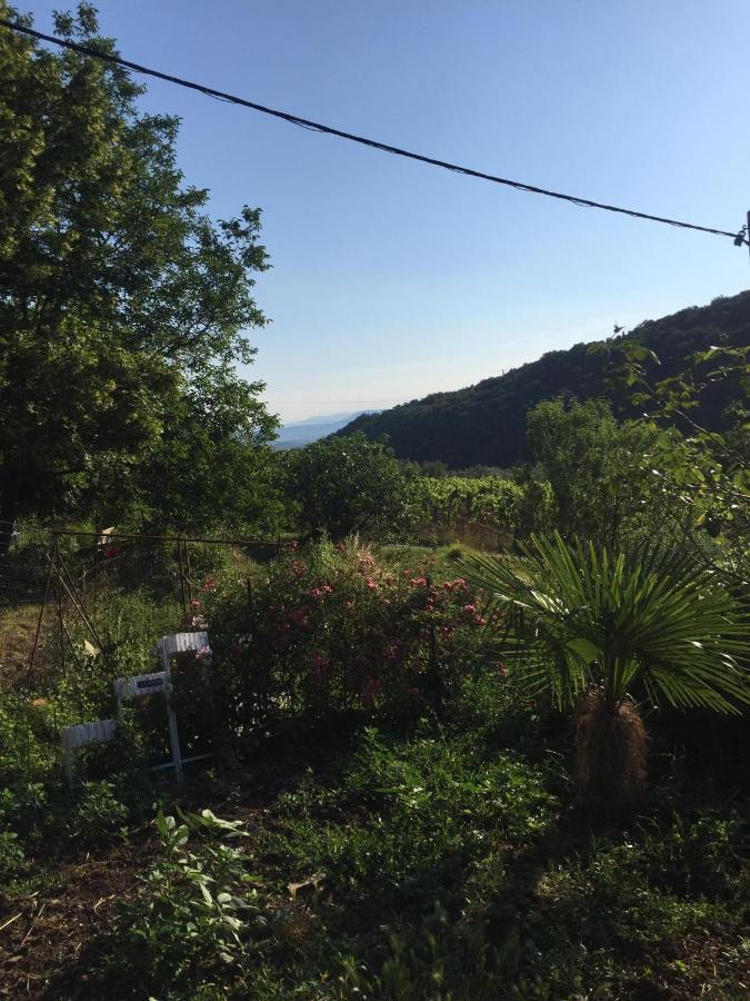 Salara Farmhouse Koper városi község Kültér fotó