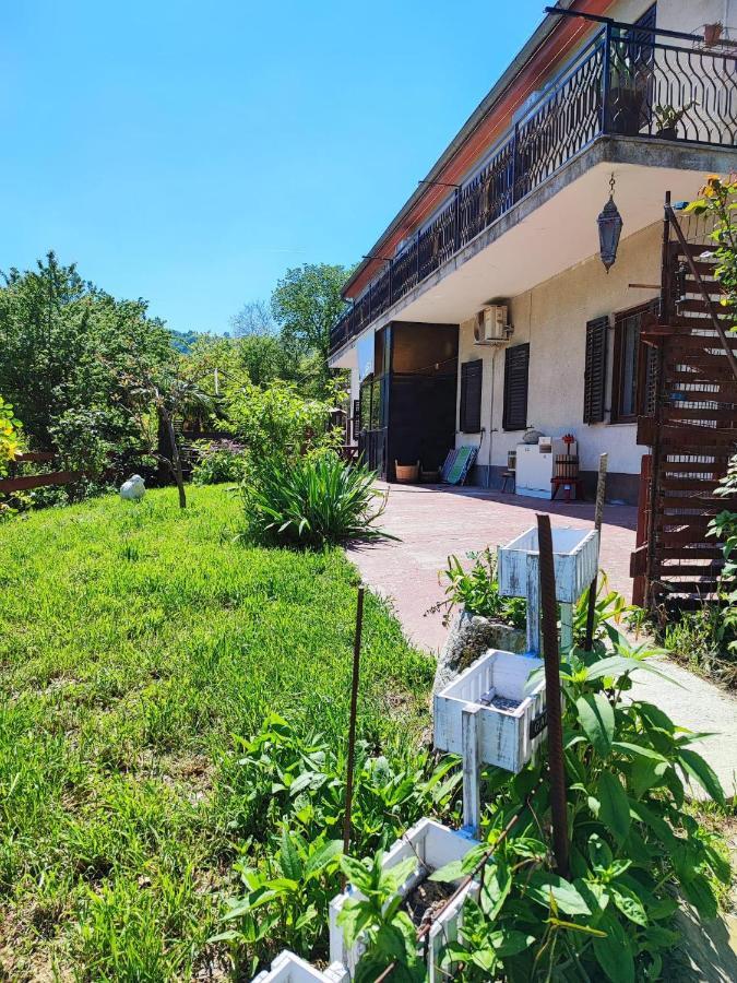 Salara Farmhouse Koper városi község Kültér fotó