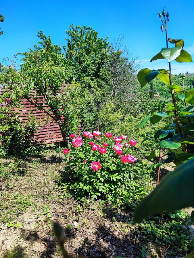 Salara Farmhouse Koper városi község Kültér fotó