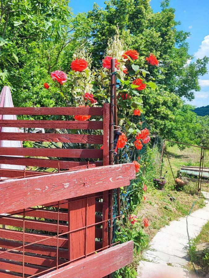 Salara Farmhouse Koper városi község Kültér fotó