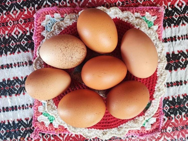 Salara Farmhouse Koper városi község Kültér fotó