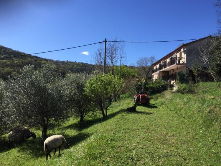 Salara Farmhouse Koper városi község Kültér fotó